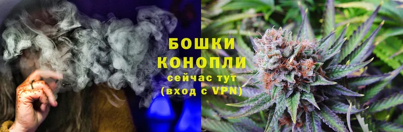 закладки  Сосновка  МАРИХУАНА Ganja 